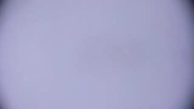 Ashlyaurora online show from March 20, 7:58 am