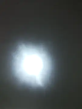 Snapshot of SARAI_523 chatting on October 14, 7:25 pm SARAI 523 online show from October 14, 7:25 pm