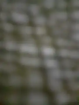 Snapshot of Mineirinho043 chatting on February 17, 4:48 pm Mineirinho043 online show from February 17, 4:48 pm