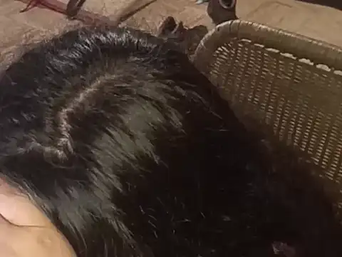 isabellapurple online show from March 5, 2:07 am