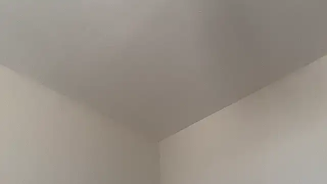 skyejde online show from February 14, 9:17 am