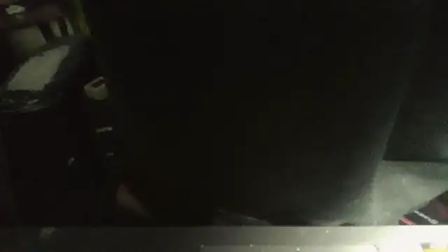 Snapshot of fifu2 chatting on March 29, 2:11 am fifu2 online show from March 29, 2:11 am