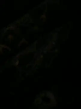 leonard  123 online show from February 6, 10:10 pm