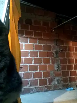 Snapshot of PECHO100 chatting on March 3, 3:08 am PECHO100 online show from March 3, 3:08 am