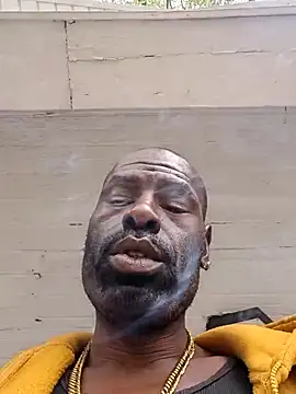 birdg online show from September 23, 4:54 pm