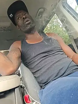 birdg online show from October 2, 1:29 pm