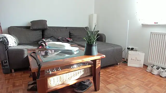 molicaremolicare online show from November 27, 11:12 am