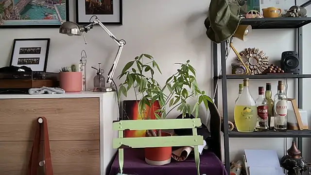 MikymikeBBWD online show from November 12, 11:43 am