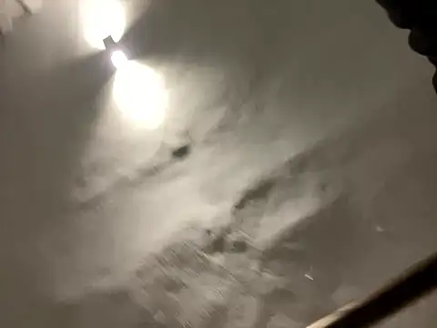 Snapshot of morfeoX chatting on February 23, 6:28 am morfeoX online show from February 23, 6:28 am