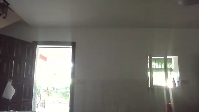 llopaco online show from July 1, 11:56 am