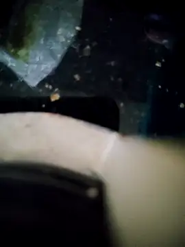 Snapshot of Loly2025 chatting on November 15, 6:15 pm Loly2025 online show from November 15, 6:15 pm