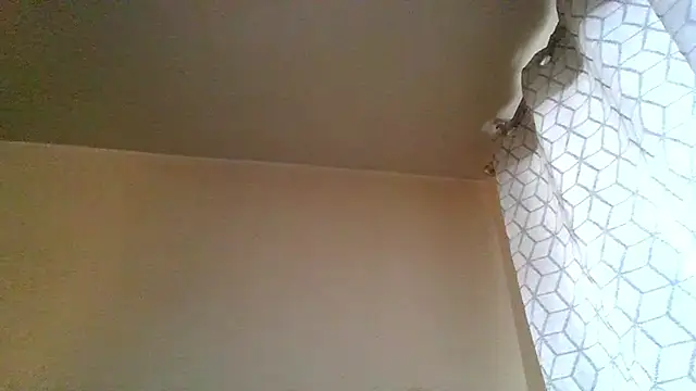 guccititi online show from November 20, 7:13 pm