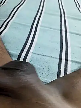 desi pb02 online show from March 17, 2:20 pm