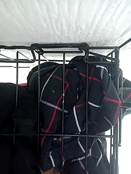 emily envivo010 online show from March 10, 8:01 pm