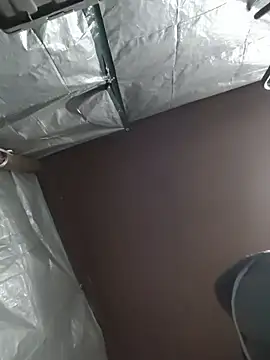 HTXBELLE online show from December 5, 2:42 am