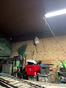 HTXBELLE online show from March 11, 3:01 am