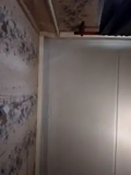 Snapshot of AliniX chatting on March 7, 10:23 am AliniX online show from March 7, 10:23 am