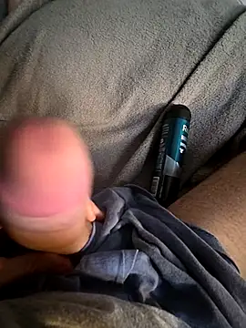 Toradinho online show from November 17, 3:40 pm