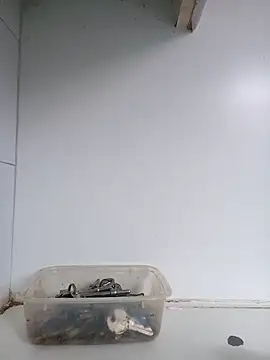 xxTatiannaxx online show from February 28, 12:09 pm