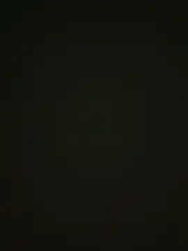 464a-err online show from November 12, 4:40 pm