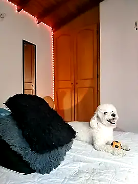 Snapshot of morenosiam chatting on November 23, 9:36 pm morenosiam online show from November 23, 9:36 pm