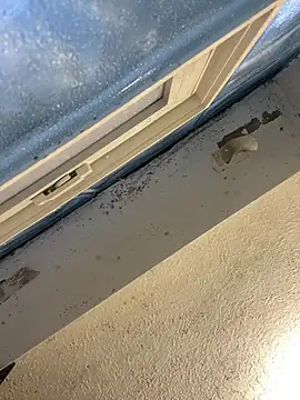 YODAPESOS online show from February 23, 12:57 pm