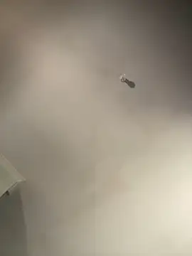 Snapshot of 1Zoey101 chatting on February 2, 1:37 am 1Zoey101 online show from February 2, 1:37 am