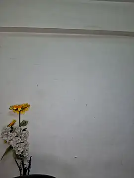 Snapshot of Noor-Bold chatting on November 7, 2:00 am Noor-Bold online show from November 7, 2:00 am