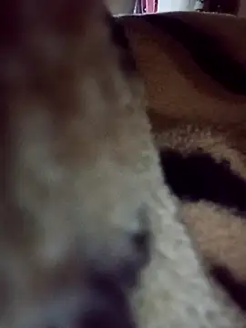 karabokau21 online show from September 26, 10:25 pm