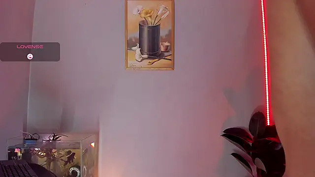 CRAZY-BOY99 online show from October 31, 10:05 am