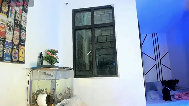 CRAZY-BOY99 online show from February 11, 11:37 am