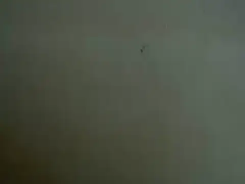 Snapshot of mayra89 chatting on March 29, 8:25 am mayra89 online show from March 29, 8:25 am