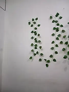 Neha-Bhabhi-Rasily online show from November 7, 3:12 pm