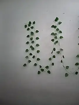 Neha-Bhabhi-Rasily online show from December 17, 7:47 am