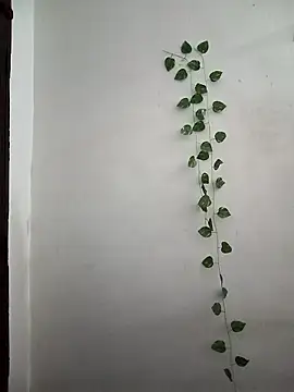 Neha-Bhabhi-Rasily online show from March 24, 3:55 am