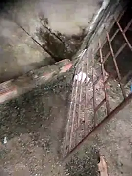 viviksmel online show from April 19, 6:10 pm