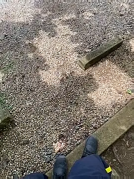 Gershel141 online show from October 25, 4:46 pm