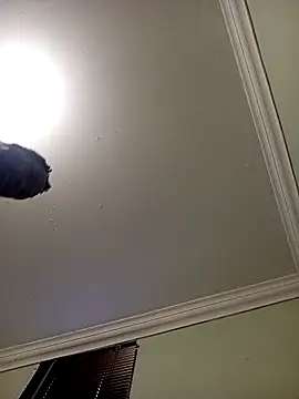 Latte1204 online show from April 22, 5:21 am