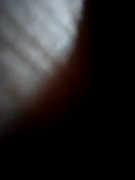 Sandra42 online show from December 21, 9:44 pm