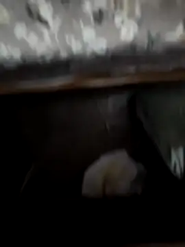 horniestboi online show from April 20, 5:48 pm