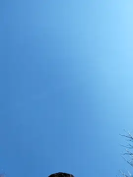 Anthopassif84 online show from March 17, 3:18 pm