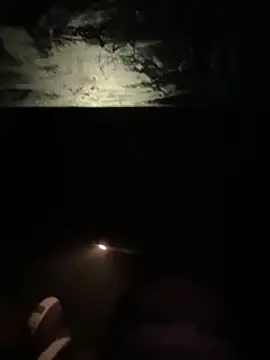 bangherbhb online show from March 15, 8:15 am