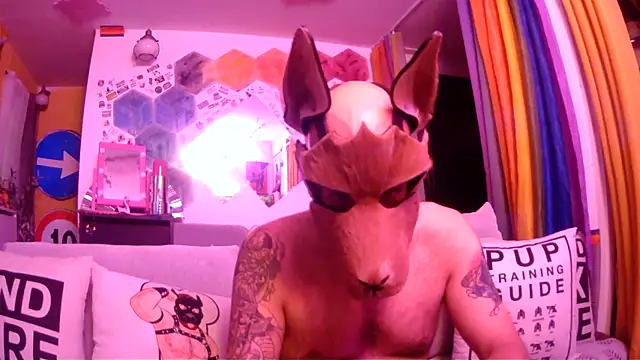 Snapshot of danix_wild_wolf chatting on May 31, 11:06 pm danix wild wolf online show from May 31, 11:06 pm