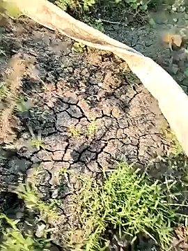 himvilohi08 online show from March 21, 12:32 pm