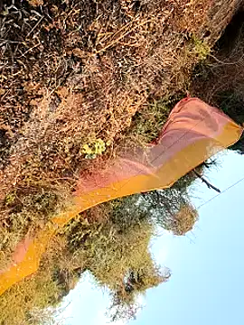 himvilohi08 online show from March 25, 12:44 pm