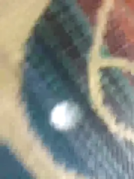 Sexy-nandani-baby online show from October 12, 5:28 am