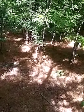 Snapshot of sile47 chatting on July 7, 12:20 pm sile47 online show from July 7, 12:20 pm