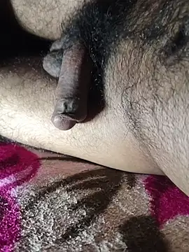 Mr skywalker online show from February 4, 11:49 am