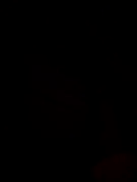 Ricopalote22 online show from September 21, 9:16 pm