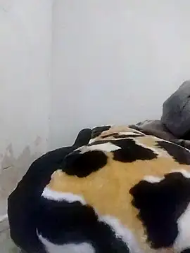 Snapshot of CertifiedSatisfier chatting on October 29, 1:46 pm CertifiedSatisfier online show from October 29, 1:46 pm